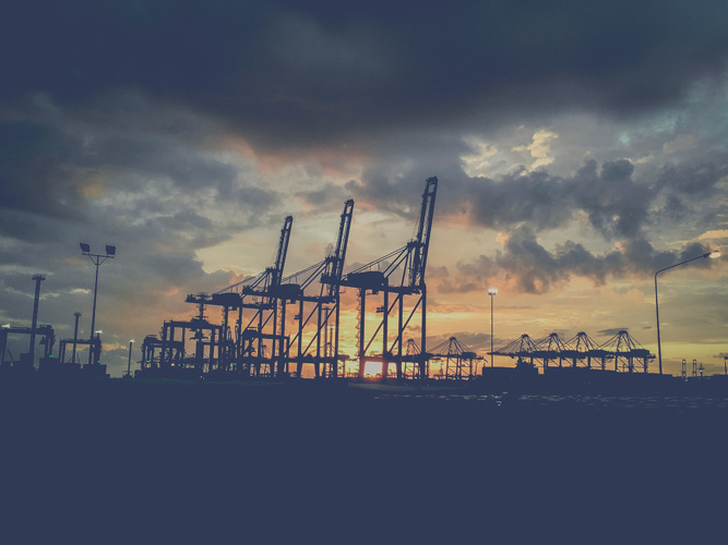 深圳葵花油進口報關(guān)行