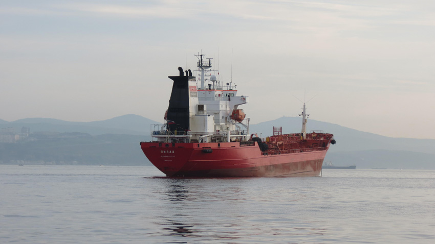 天津港進(jìn)口木材報(bào)關(guān)