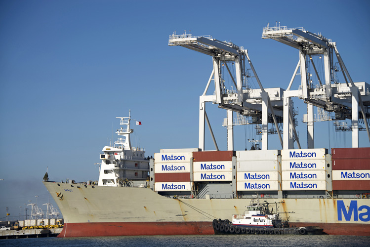 天津進口薄荷葉報關(guān)資料