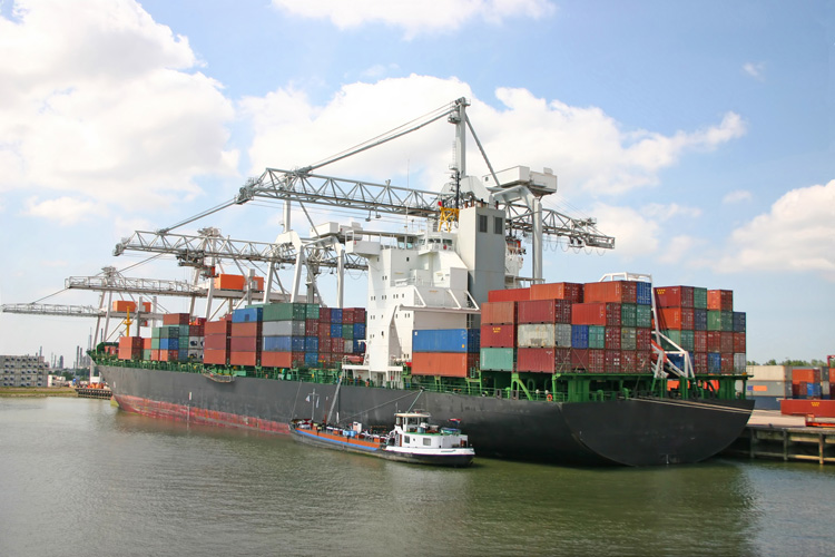 天津鮮水果進口報關資料