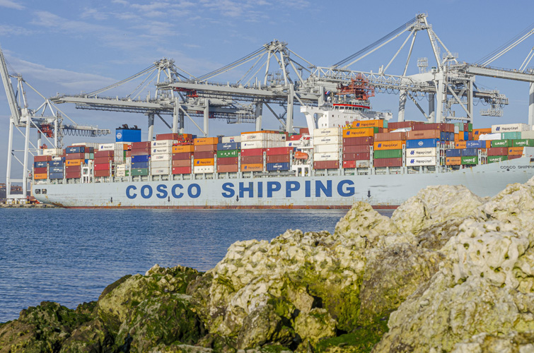 油漆進(jìn)口報關(guān)門到門