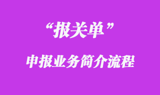 申報業(yè)務(wù)簡介流程