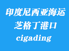 印度尼西亞海運(yùn)港口：芝格?。╟igading）港口